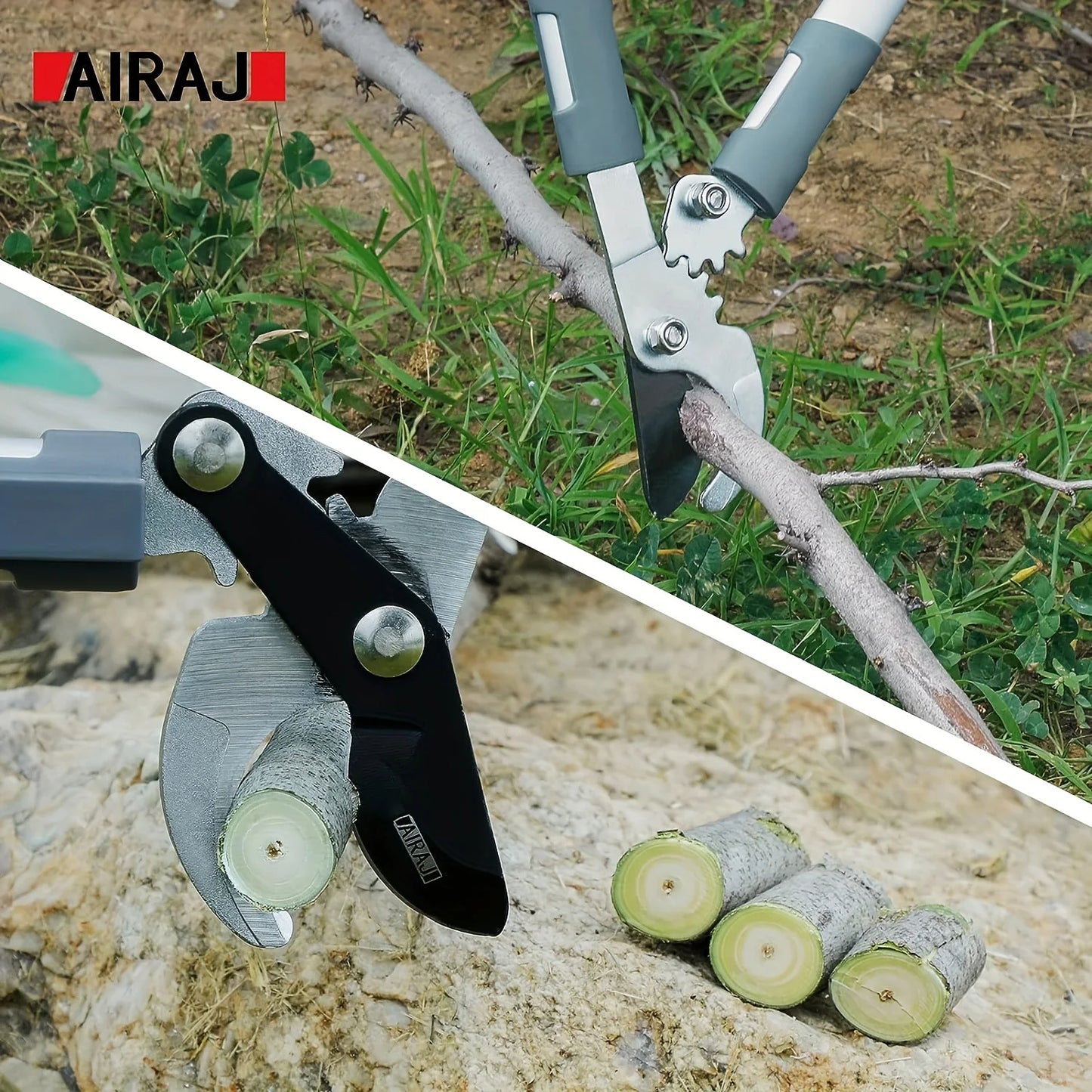 Pruning Shears