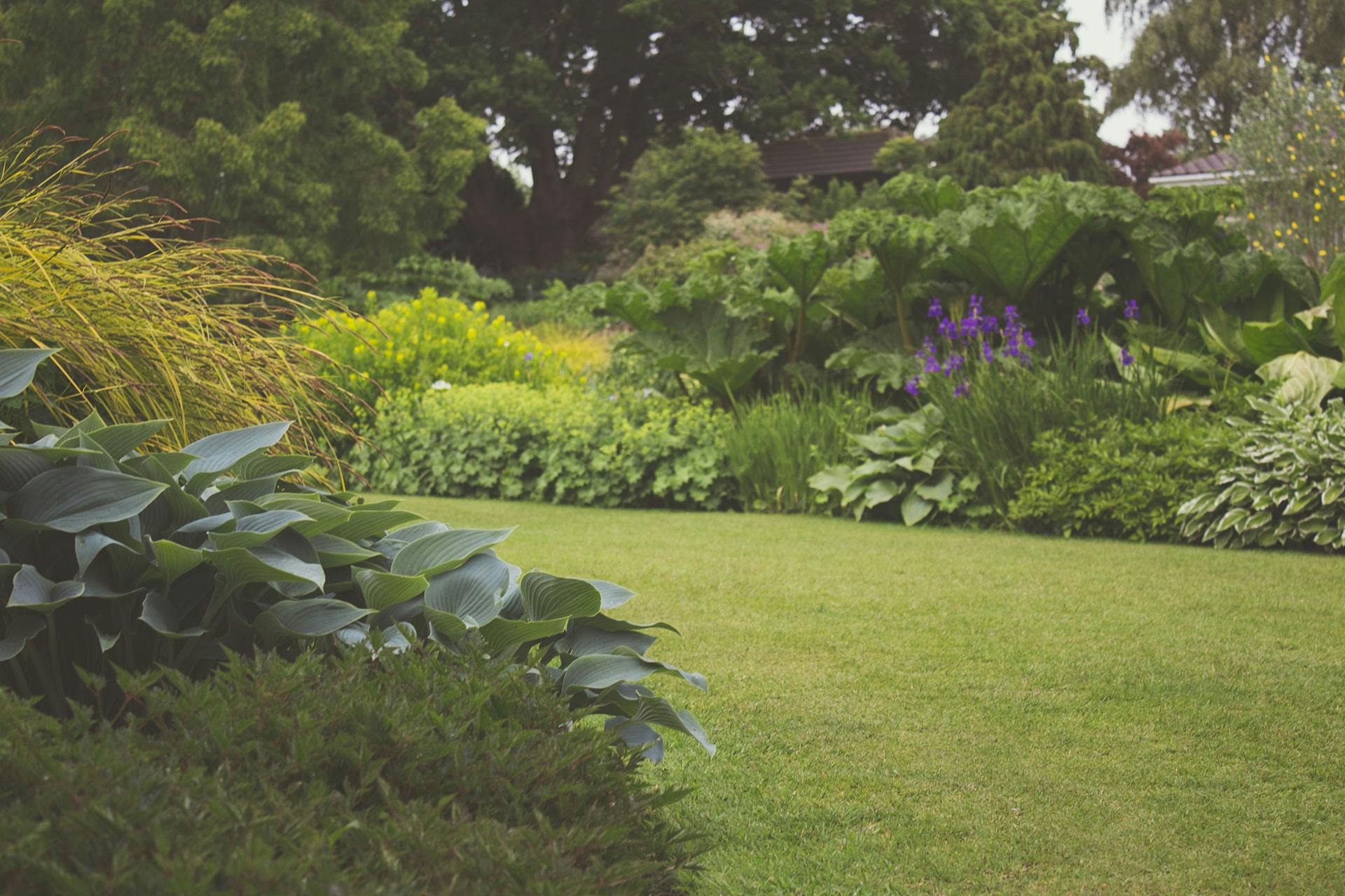 Front & Backyard | Outdoor Decor & Garden Maintenance
