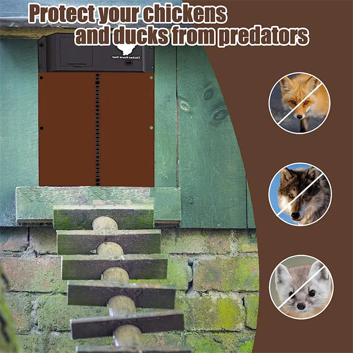 Automatic Chicken Coop Door - Solar Powered & Light Sensor