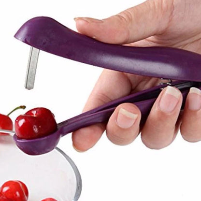 Cherry pit remover