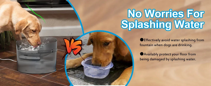 Dog Water Fountain 2 Gallon - 8L Large Automatic Dispenser
