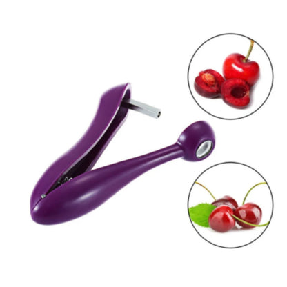 Cherry pit remover