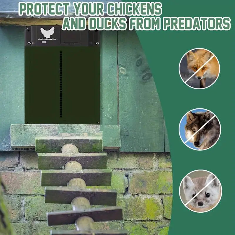 Automatic Chicken Coop Door - Solar Powered & Light Sensor