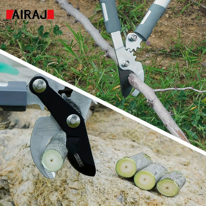 Pruning Shears