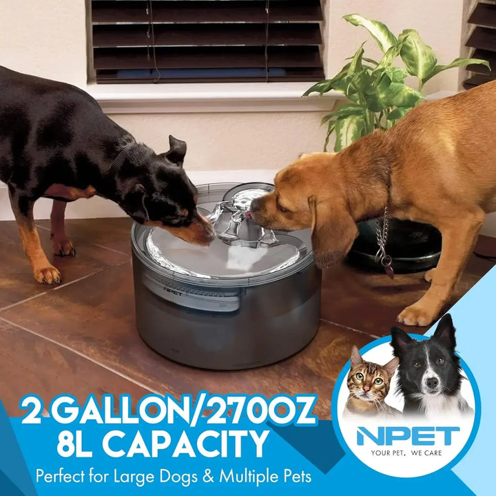 Dog Water Fountain 2 Gallon - 8L Large Automatic Dispenser