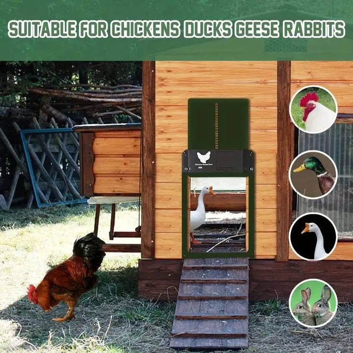 Automatic Chicken Coop Door - Solar Powered & Light Sensor