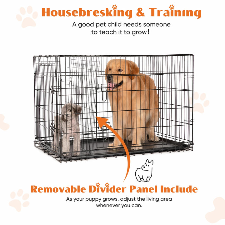 Double Door Folding Metal Wire Dog Cage - Secure Folding Crate