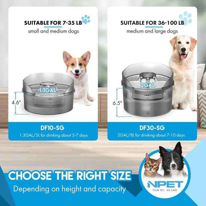 Dog Water Fountain 2 Gallon - 8L Large Automatic Dispenser