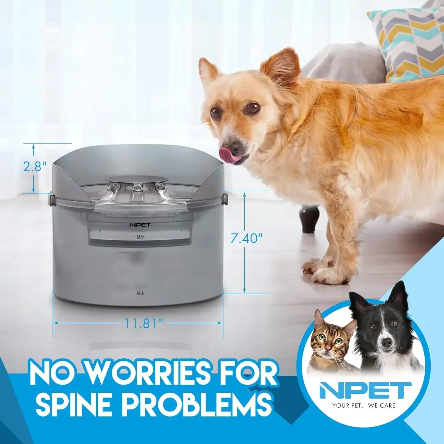 Dog Water Fountain 2 Gallon - 8L Large Automatic Dispenser