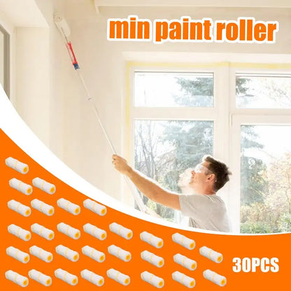 30pcs Paint Roller Kit, 4 Inch Rollers