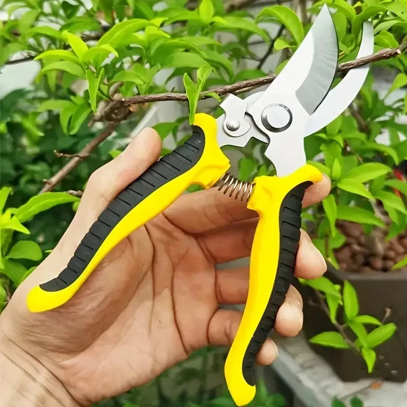 Horticultural Scissors