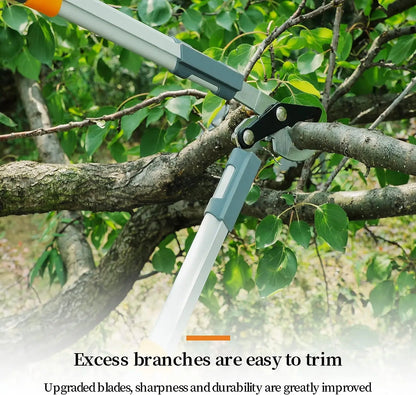 Pruning Shears