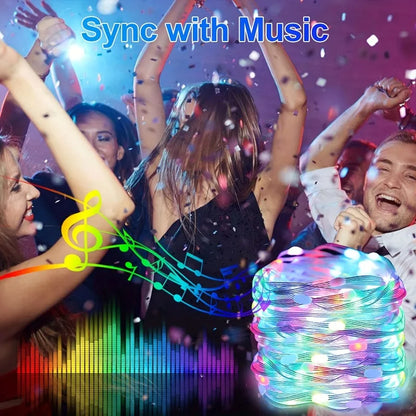 Smart LED Fairy Lights USB Powered App Control
