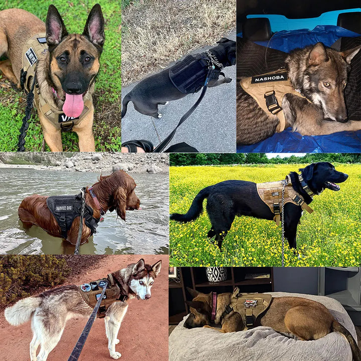 Large Dog Harness And Leash Set - Heavy Duty Tactical Vest