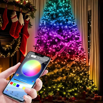 Smart LED Fairy Lights USB Powered App Control