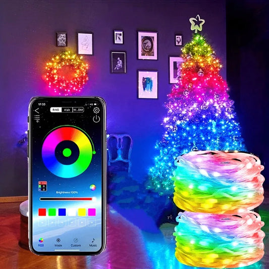 Smart LED Fairy Lights USB Powered App Control