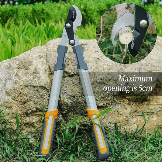 Pruning Shears