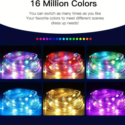 Smart LED Fairy Lights USB Powered App Control